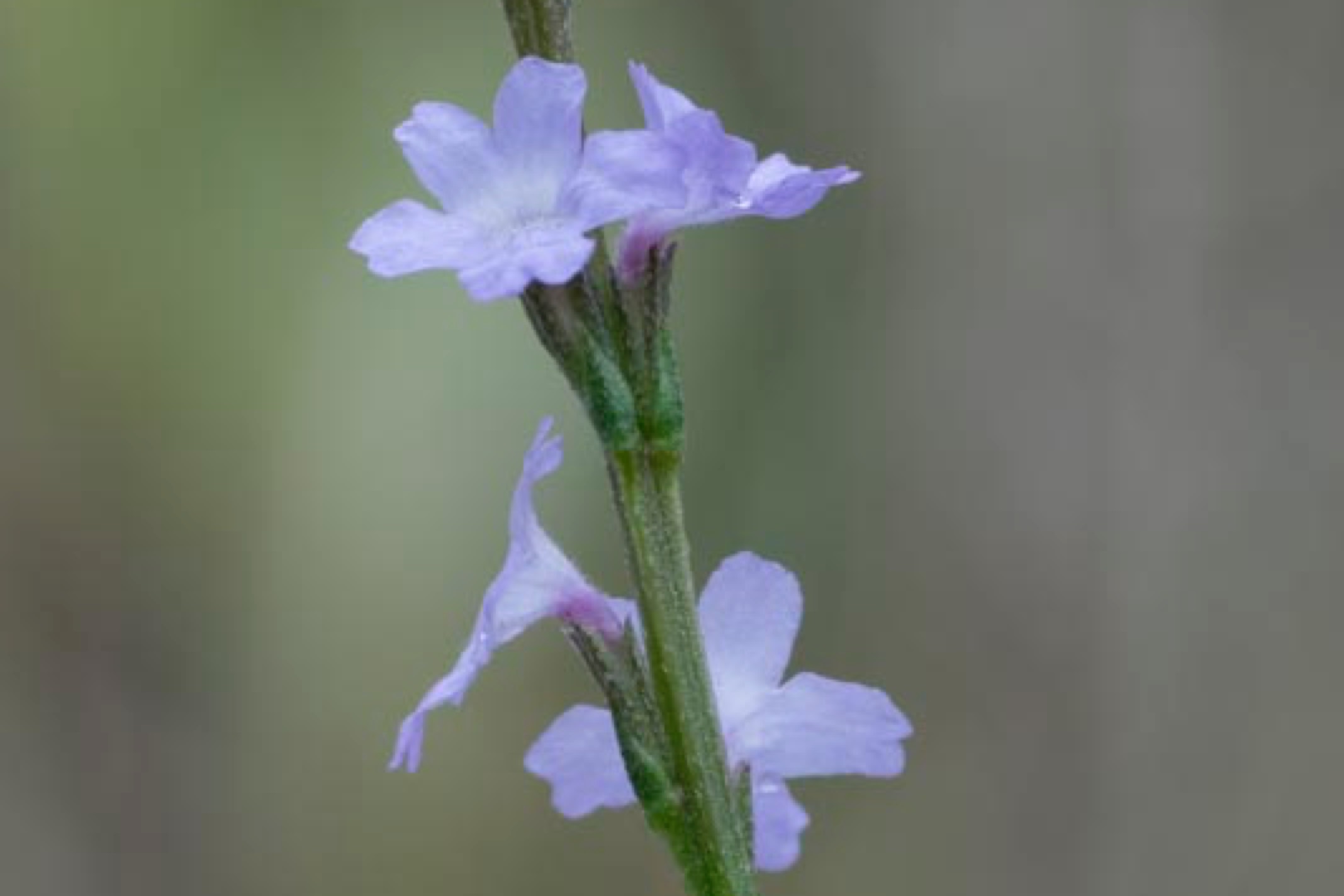 D81_6660%20Small