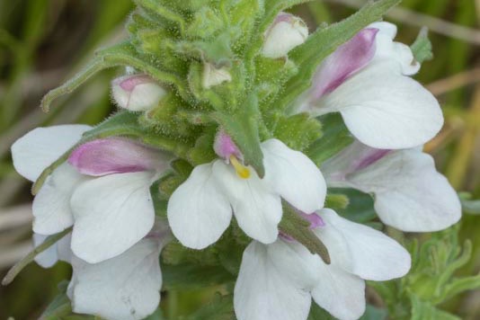 _DSC1056%20copy