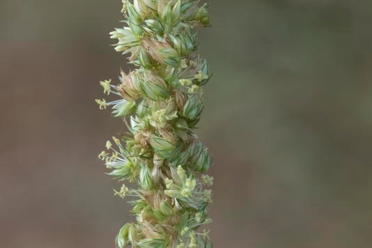 D81_6660%20Small