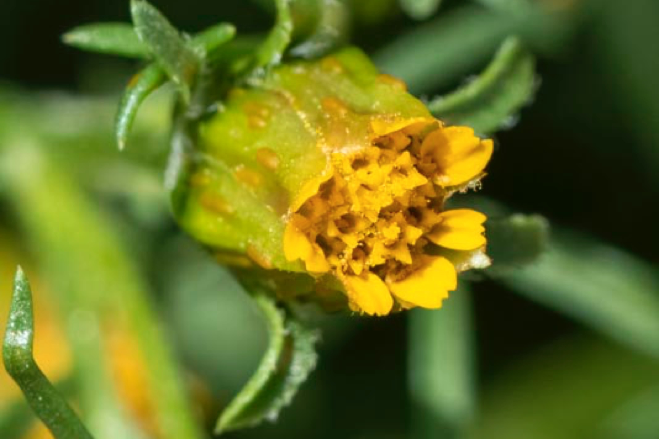 D81_6660%20Small