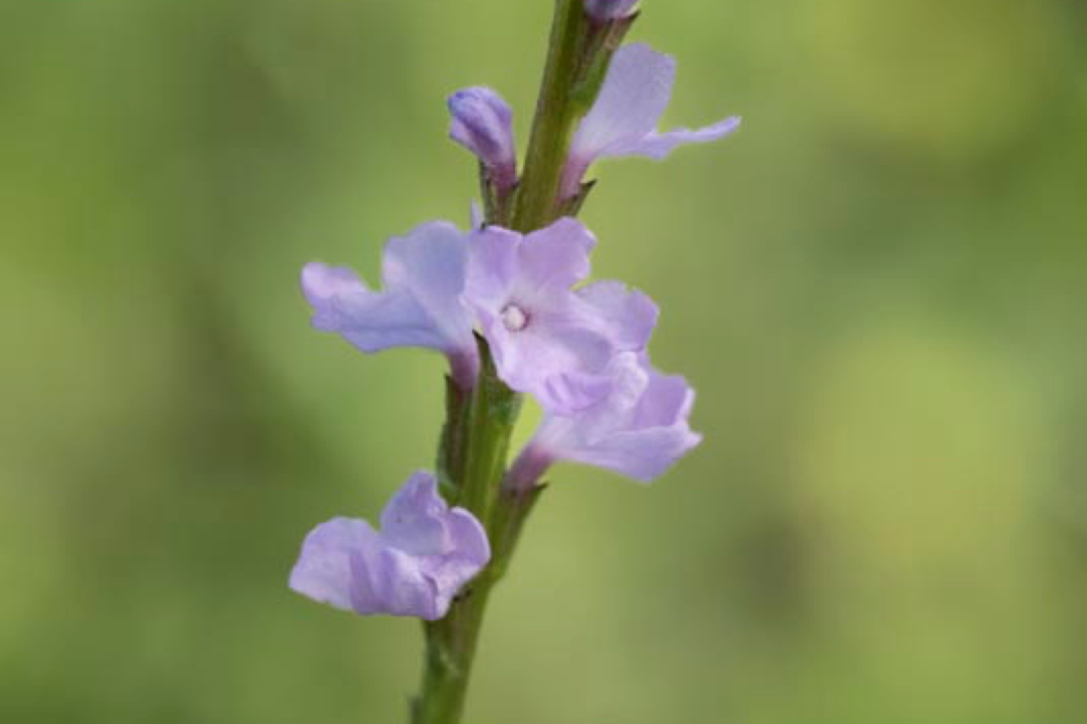 D81_6660%20Small