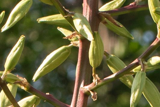 D81_6660%20Small